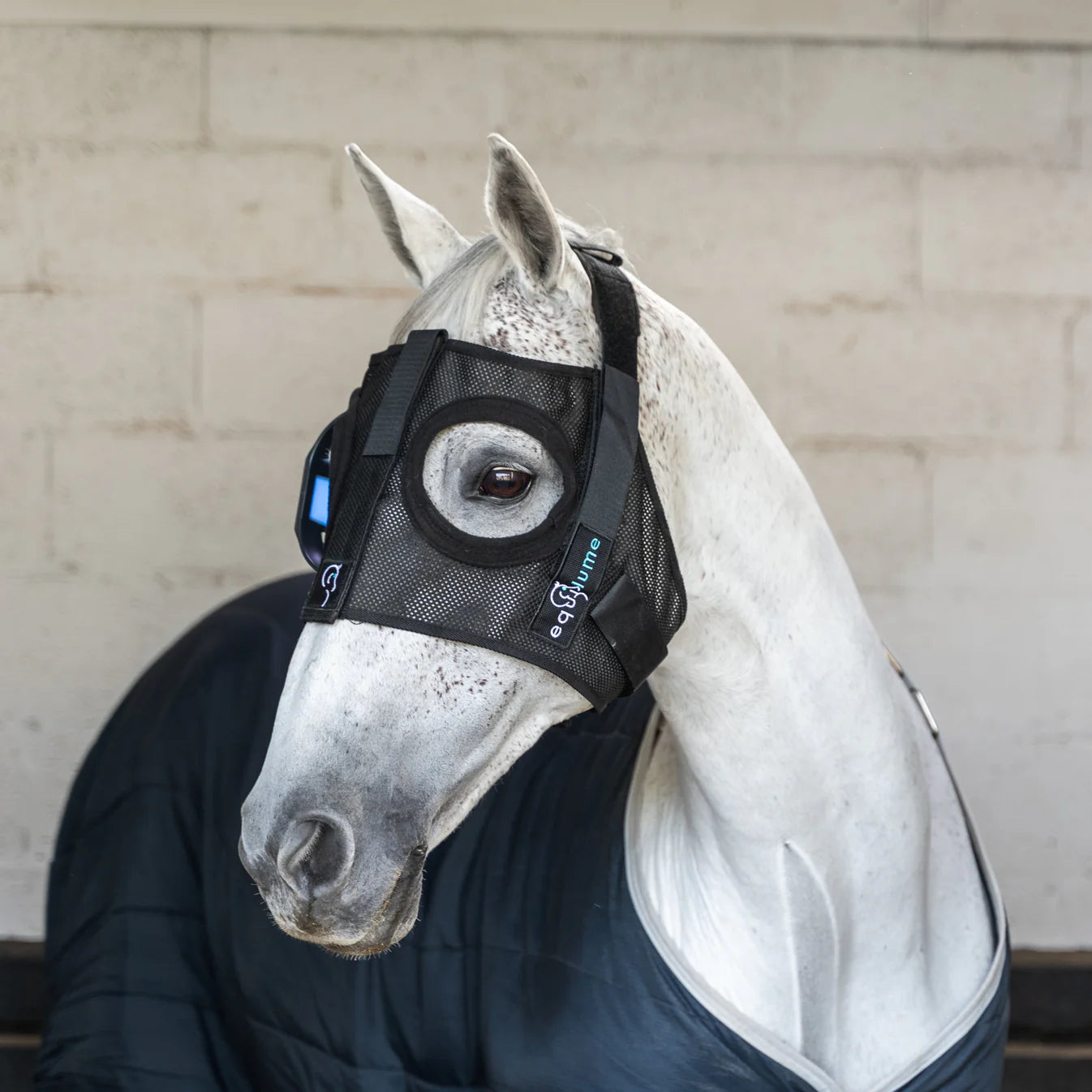 Equilume Mask Headpiece