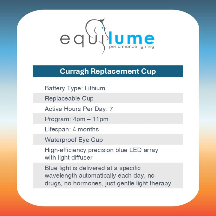 Curragh Replaceable Cup