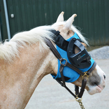 Cashel Replaceable Cup