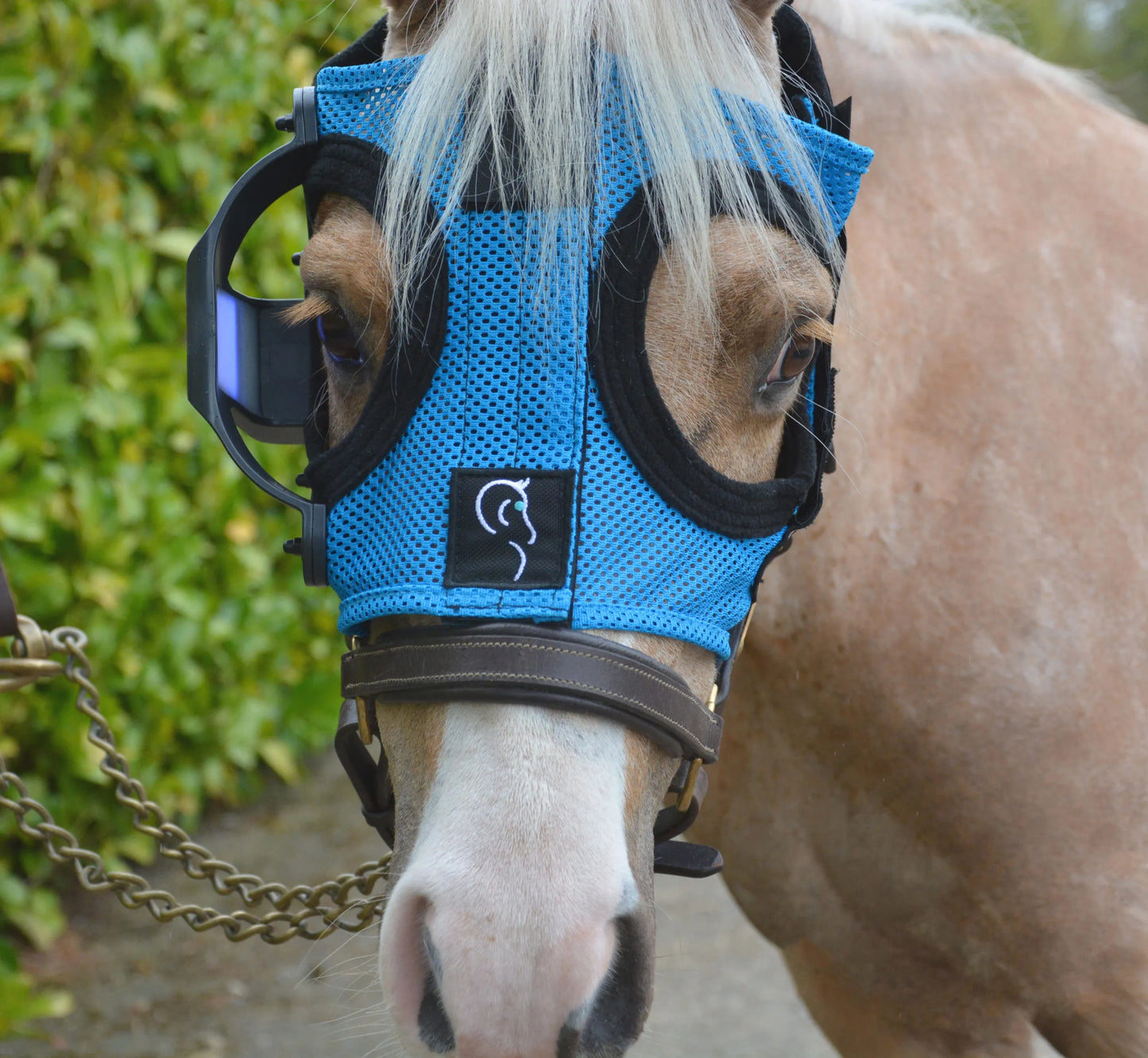 Cashel Replaceable Cup