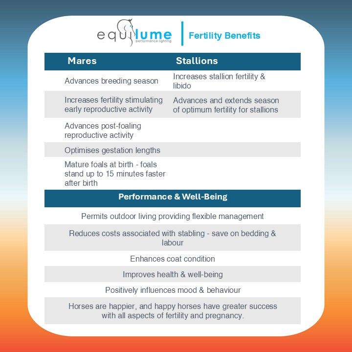 Curragh Replaceable Cup