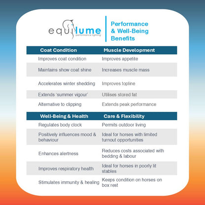 Cashel Replaceable Cup
