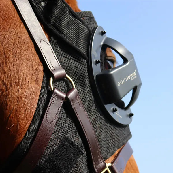 Cashel Replaceable Cup