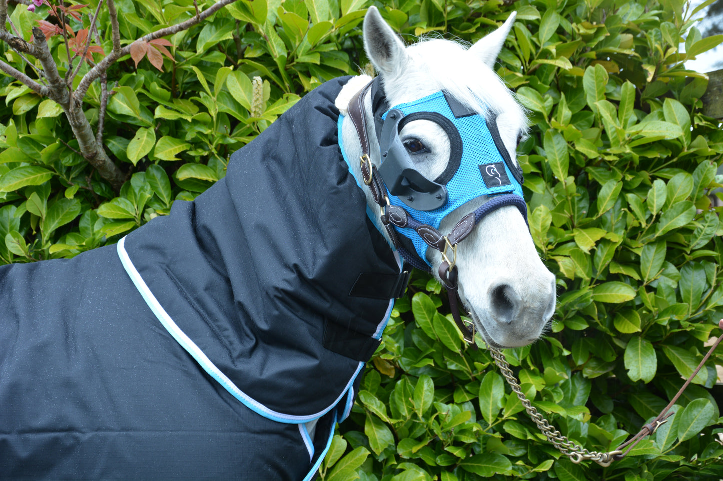 Curragh Light Mask - Pony